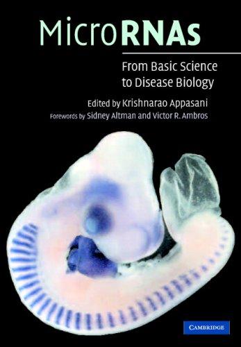 Cover for microRNAs