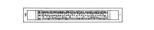 Cover for dpal 'brug pa rin po che mthu chen chos kyi rgyal po ngag dbang rnam rgyal gyi rnam thar rgya mtsho'i snying po