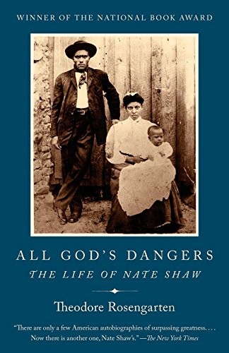 Cover for All God's Dangers