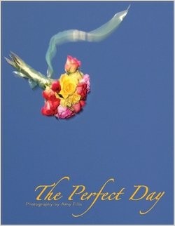 Cover for The Perfect Day