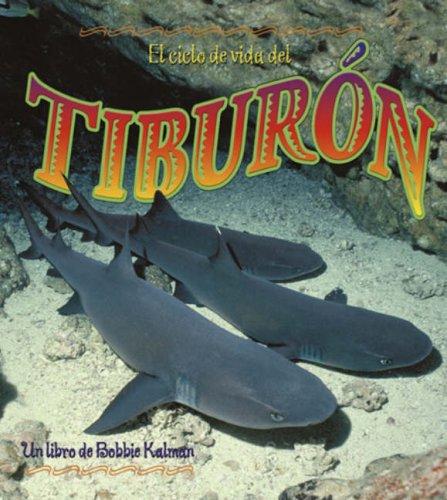 Cover for El Ciclo De Vida Del Tiburon (Ciclos De Vida)