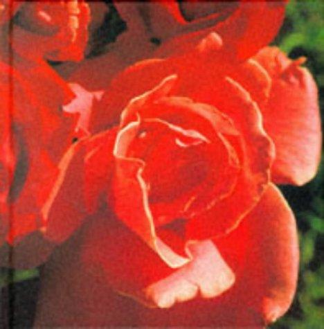 Cover for Red (Colour Garden)