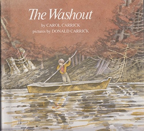 Cover for The washout