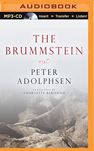 Cover for Brummstein, The