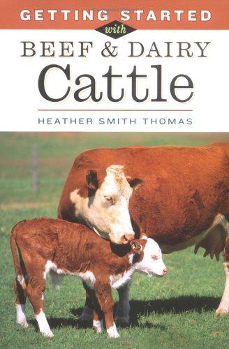Cover for Getting started with beef & dairy cattle