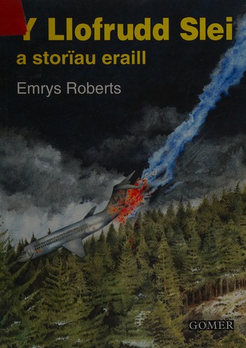 Cover for Y llofrudd slei a storïau eraill
