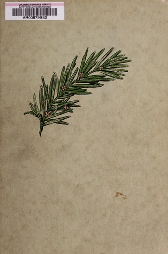 Cover for Life and manners in Madrid