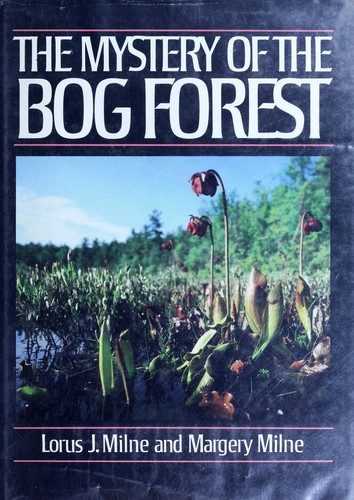 Cover for The mystery of the bog forest