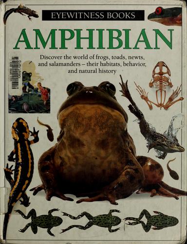 Cover for Amphibian