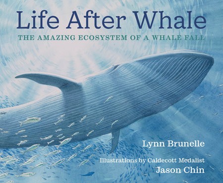 Cover for Life After Whale
