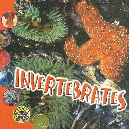 Cover for Invertebrates