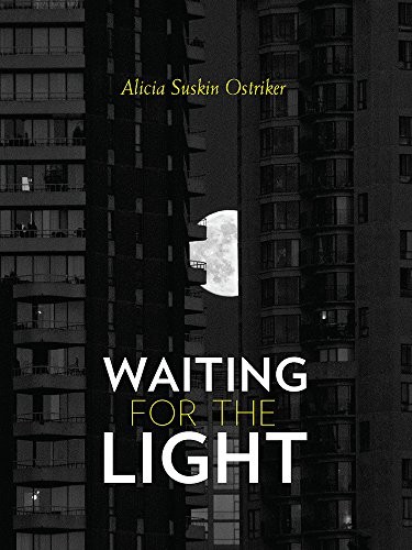 Cover for Waiting for the Light