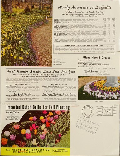 Cover for Imported Dutch bulbs for fall planting
