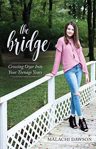 Cover for The Bridge