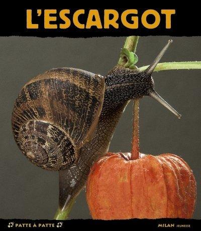 Cover for L'escargot paisible dormeur