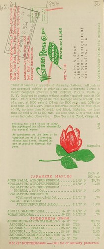 Cover for Wholesale price list, spring 1954