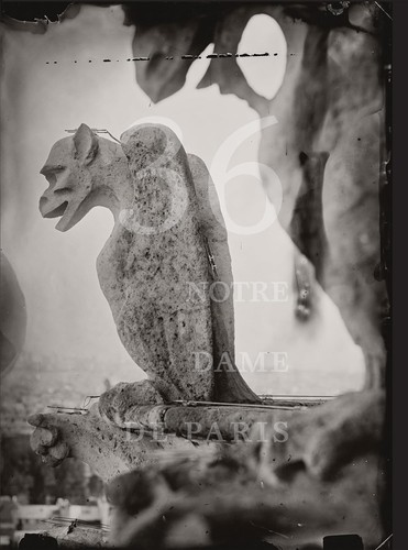 Cover for Tomas Van Houtryve