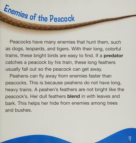 Cover for Meet the peacock