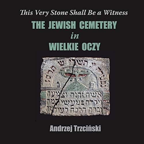 Cover for This Very Stone Shall Be a Witness