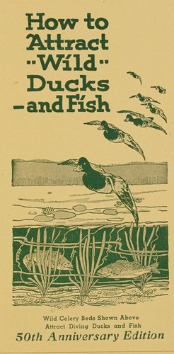 Cover for How to attract wild ducks and fish