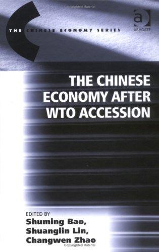 Cover for The Chinese economy after WTO accession