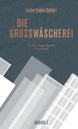 Cover for Die Großwäscherei