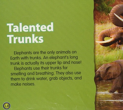 Cover for Elephants