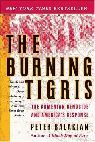 Cover for The Burning Tigris