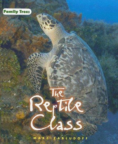 Cover for The reptile class