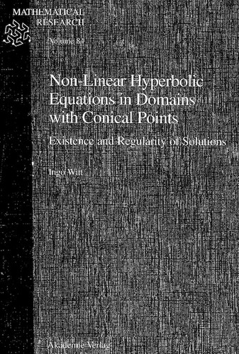 Cover for Non-linear hyperbolic equations in domains with conical points