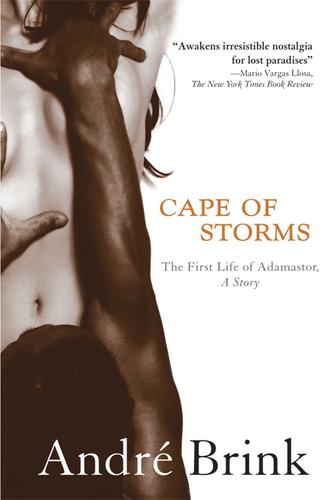 Cover for Cape of Storms