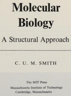Cover for Molecular biology; a structural approach