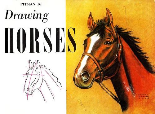 Cover for Drawing horses.