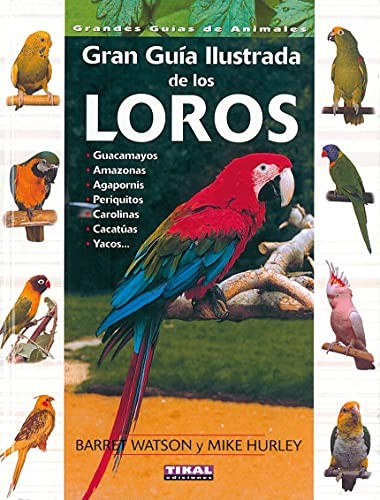 Cover for Guía ilustrada de los loros