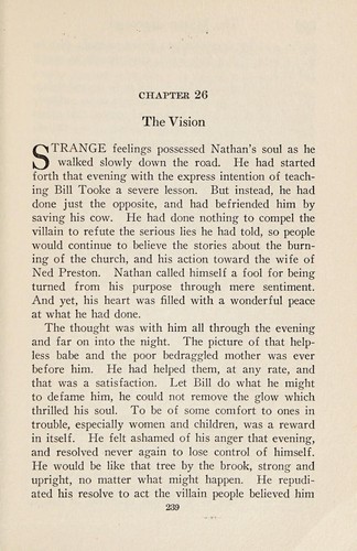 Cover for The master revenge