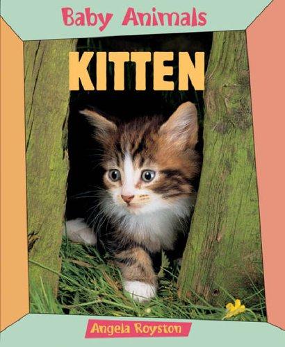 Cover for Kitten