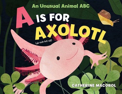 Cover for Unusual Animal ABC