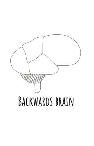 Cover for backwards brain