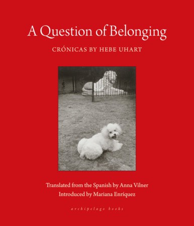 Cover for Question of Belonging