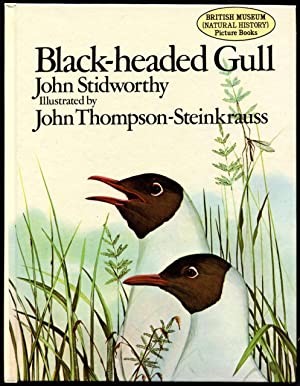 Cover for Black-headed gull