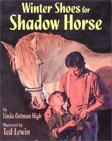 Cover for Winter shoes for Shadow Horse