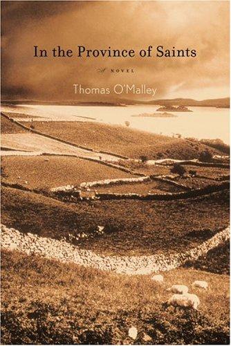 Cover for In the province of saints