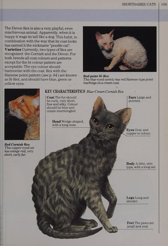 Cover for You & Your Cat