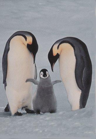 Cover for Penguin