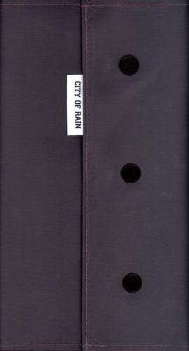 Cover for City of rain