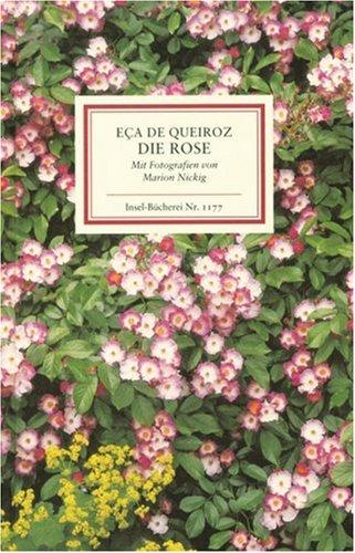 Cover for Die Rose.