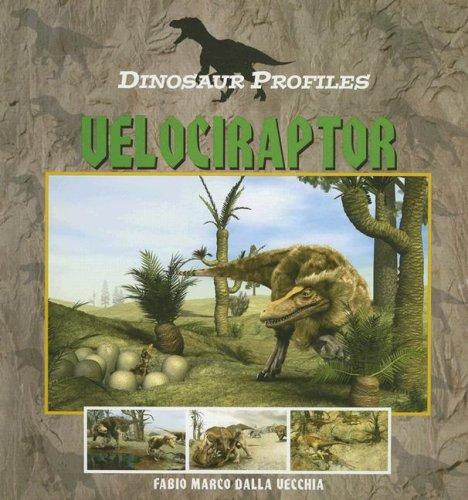 Cover for Velociraptor (Dinosaur Profiles)