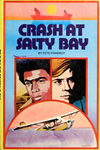 Cover for Crash at Salty Bay