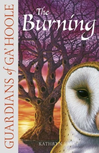 Cover for Burning