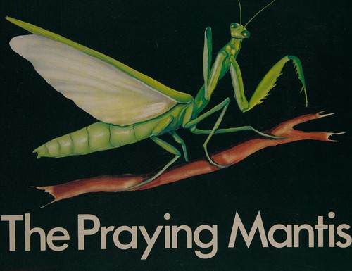 Cover for Real or Make Believe Books